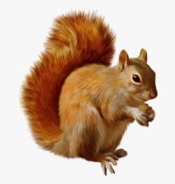 Squirrel Png Clipart - Free Clip Art Squirrel #128778 - Free ...