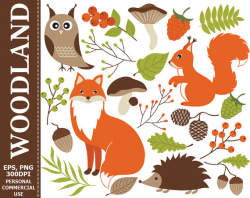 Digital Woodland Clipart - Fox, Squirrel, Owl, Hedgehog, Mushrooms ...