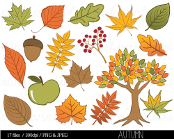 Autumn Clipart Leaf Tree Clip Art Oak Acorn Leaves Colors