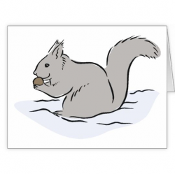 Gray squirrel eating a nut. Cartoon image Large Greeting Card | Kids ...