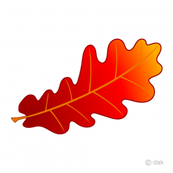 Red Acorn Leaf Clipart Free Picture｜Illustoon