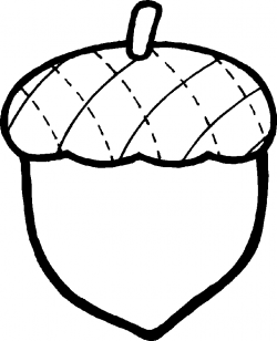 Acorn Coloring Page | Clipart Panda - Free Clipart Images ...
