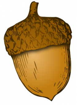 acorn clipart | fingerprint drawings | Pinterest | Clip art