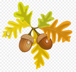 Acorn Autumn Leaf Clip art - acorn png download - 4110*3898 - Free ...