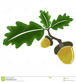 Oak, leaves and acorn | Clipart Panda - Free Clipart Images