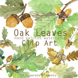 Oak leaves and acorns watercolor clip art, Printable foliage, Forest ...