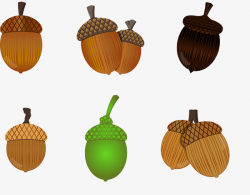 6 Acorn Vector, Vector, Acorn Vector, Acorn PNG and Vector for Free ...