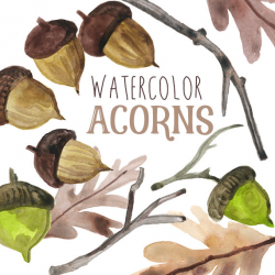 Watercolor Acorns Fall clipart Fall Acorn Clip Art Autumn