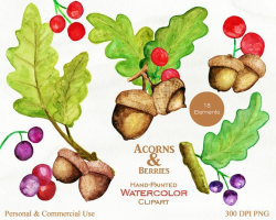 Autumn Watercolor Acorn Graphics ~ Illustrations ~ Creative Market
