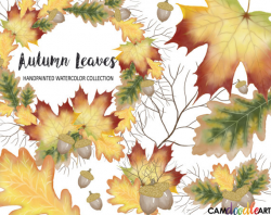 Watercolor Autumn Leaves Clipart CollectionFall