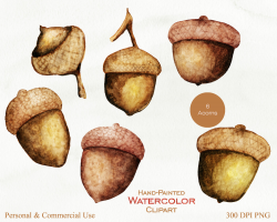 WATERCOLOR ACORNS Clipart Commercial Use Clip Art Autumn Fall ...
