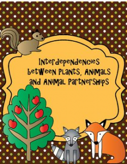 Plant and Animal Interdependencies | Reading passages, Worksheets ...