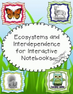 Ecosystems and Interdependence for Interactive Notebooks | Science ...