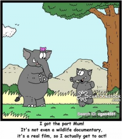 Wildlife Documentary Cartoons and Comics - funny pictures from ...