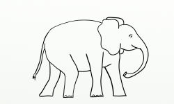 Elephant Line Drawing at GetDrawings.com | Free for personal use ...