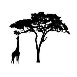African Trees Silhouette at GetDrawings.com | Free for personal use ...