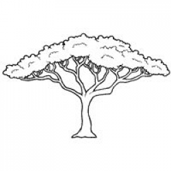 African tree pattern. Use the printable outline for crafts, creating ...