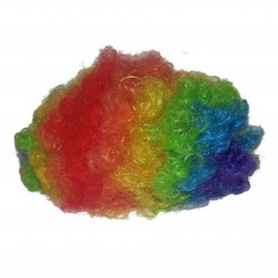 Amazon.com: Rainbow Clown Wig: Toys & Games