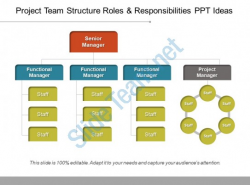 Project Team Structure Roles And Responsibilities Ppt Ideas ...