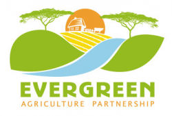 What is EverGreen Agriculture? | EverGreen Agriculture