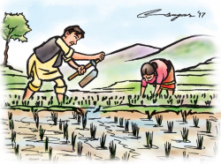 Agricultural sector: Local climate impacts | The Himalayan Times