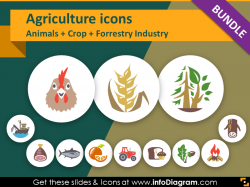 Food Presentation Icons : For Presenting Health, Green Agriculture ...