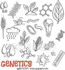 Vector Clipart - Agriculture and genetic technology sketch icons ...