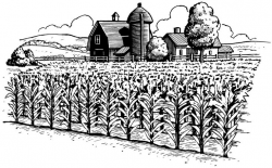 agriculture clipart black and white 4 | Clipart Station