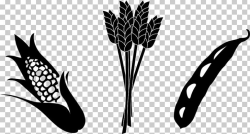 Crop Agriculture Maize Soybean PNG, Clipart, Agriculture ...