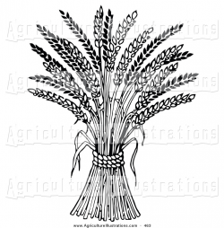 Agriculture Clipart of a Wheat Bound by Rope on White by C Charley ...