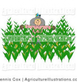 Royalty Free Stock Agriculture Designs of Crops