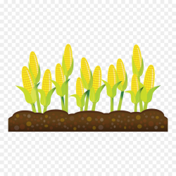 Crop Agriculture Farm Field Clip art - Agriculture Cliparts png ...