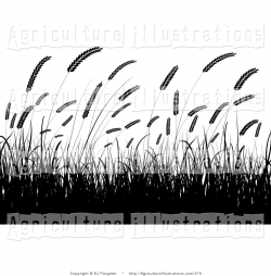 Agriculture Clipart of Black Silhouetted Wheat Grasses Waving in a ...