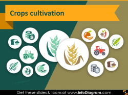 44 agriculture icons farming crop PPT presentation infographics
