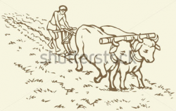 28+ Collection of Indian Agriculture Drawing | High quality, free ...