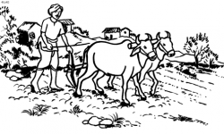 Image result for indian farmers in india drawings | Sketch ...