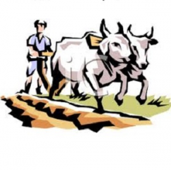 The Farmer Essay- School Essay On Indian Farmer (Life Of Farmer ...