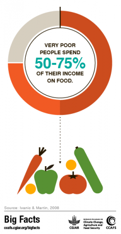 Food Security - Big Facts