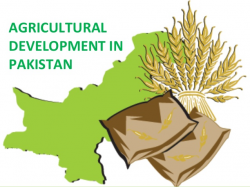 Agricultural development in PAKISTAN