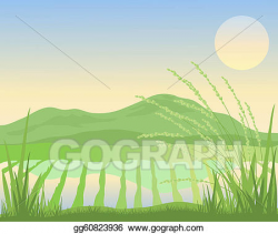 Vector Art - Paddy fields. Clipart Drawing gg60823936 - GoGraph