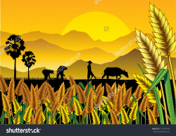 rice field clipart 14 | Clipart Station