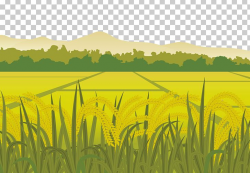 Rice Euclidean Paddy Field Harvest PNG, Clipart, Agriculture ...