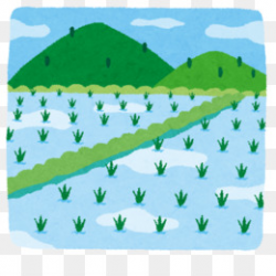 Agricultural aircraft Paddy Field Agriculture Fertilizer Clip art ...