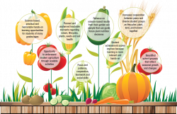 Learning Gardens | Nutrients For Life