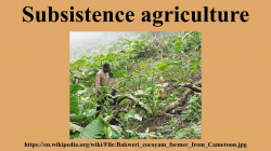 Subsistence agriculture - YouTube