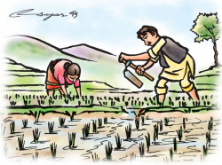 Food security | The Himalayan Times