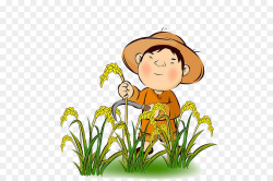 Farmer Rice Agriculture Harvest Clip art - The farmer who receives ...