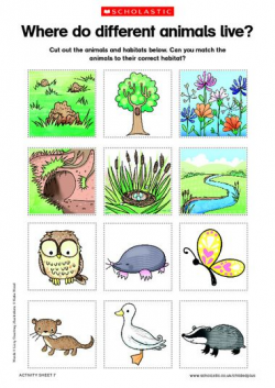 Animals and habitats - free printable | Science--an investigation of ...
