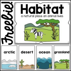 This set of poster cards with 13 different habitats is perfect for a ...