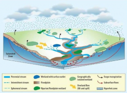Illustration shows that water and materials can move into streams ...